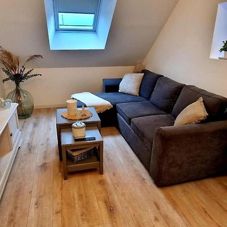 Appartement Charmant Et Spacieux Auxerre Exterior foto
